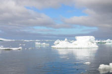 Ice in Weddell Sea