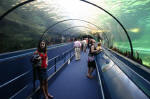 Sydney Aquarium