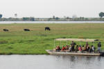 Chobe River Boat Safari