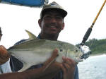 Pacific Jack Crevalle