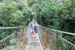 Together on Bridge