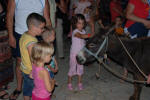 Kids Love Donkeys