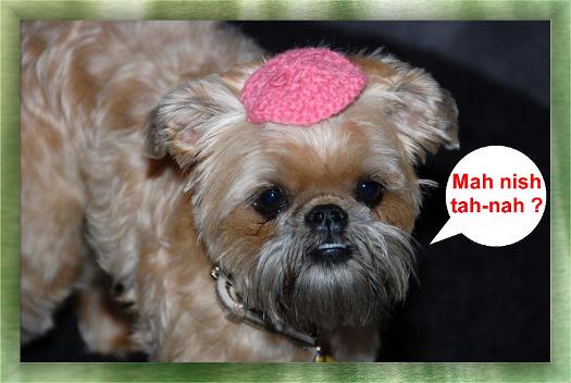 Passover, 2007 - with the Yarmulke Pam made me!