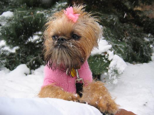 Ellie, the Ice Princess -- in Aspen