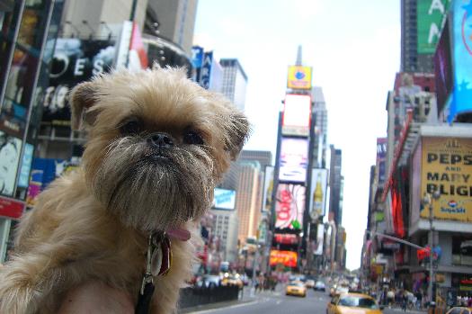 Times Square is the Center of the Universe -- I HAD to check it out!