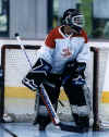 Steve Terry, Biohazard Goalie