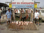 Shark and Snapper Fishing