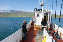 Pam, the Icelandic Fisherwoman