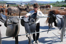 Icelandic Saddles