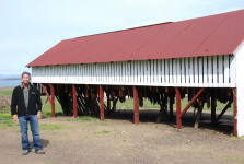 Shark Drying Shed