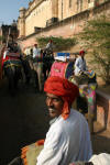 Elephant Driver