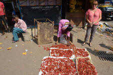 Dharavi Peppers