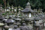 Stone Lanterns