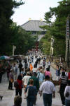 Path to Todai-ji