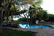Amboseli Serena Pool