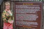 History of the Zulu
