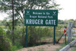 Welcome to Kruger