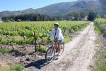 Biking the Vineyards