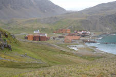 Grytviken Overview