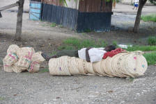 Tanzanian Siesta