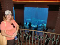 Atlantis, The Palm Aquarium