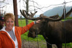 Pam Pets a Moose