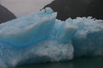 Iceberg Blue