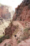 Along the Bright Angel Trail