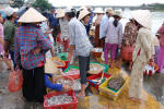 Fish Market Wares